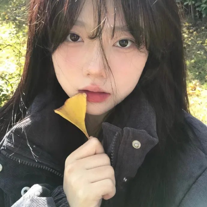 永不后悔爱上你