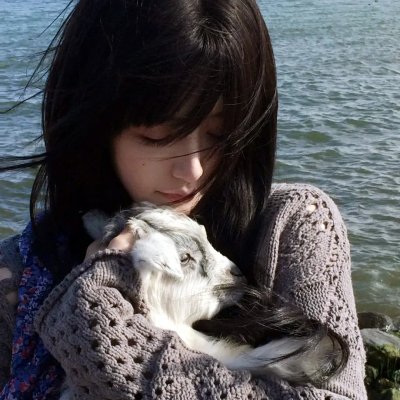 星蝶公主第三季
